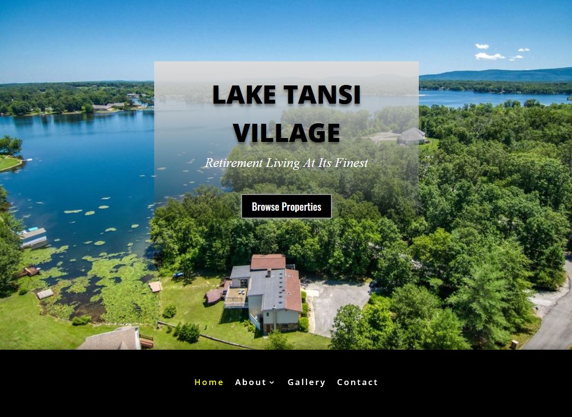 Lake Tansi Homes